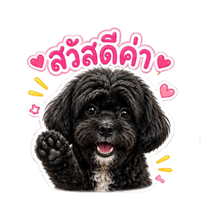My Soyu
