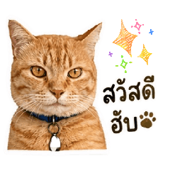 Nnont_20260501162150