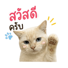 Kiki_20260501162339