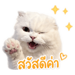 Janjio Baby_20260501162500