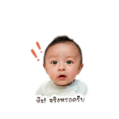 Kin_20260501162835