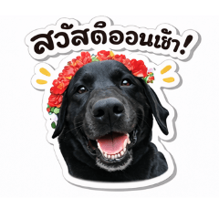 thiti_20260501162636