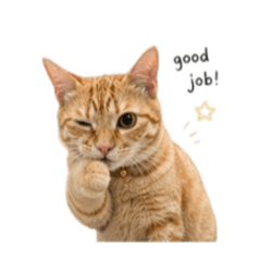 3 Cats at work V.2