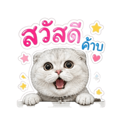 Ninew & Not_20260501163515