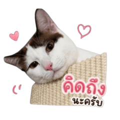 Makhamjomson