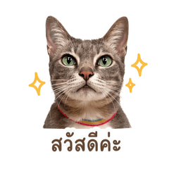 Srimokmaewpuan