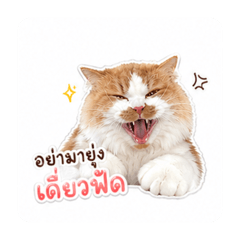 Namnuan_20260501162855