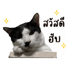 Bnclub_20260501163657
