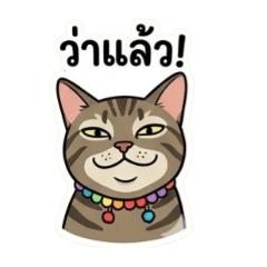 PAINOY_20260501163706