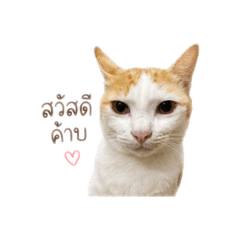 FRN_20260501163829