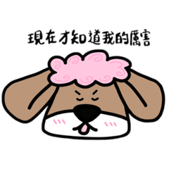 果凍小狗表情包