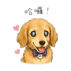 Toby今天也很努力哦
