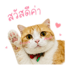 HoneyLemon_20260501163914