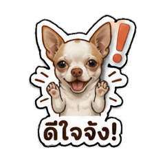 PuddingDiary_20260501164121