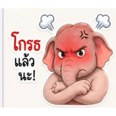 Arantikorn_2026050116410