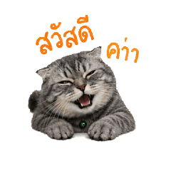 Nong Khai Lueang_20260501163939