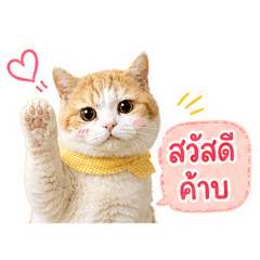 Taro_20260501164200