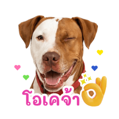 4 mahnarak