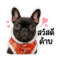 daonaka_20260501164612