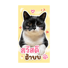 MiChiiko_20260501164541