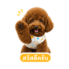 Caifu_20260501164438