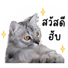 Bnclub_20260501164728