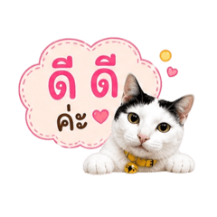 Natthita_20260501164727