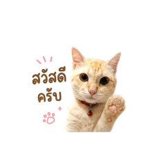 Fon_20260501165149