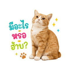 Bewbewtyx_20260501165041