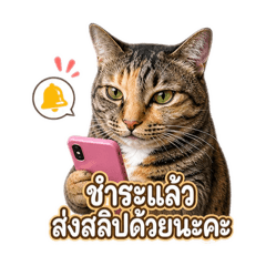 Kanyawee_20260501164548