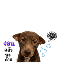 Tukta_20260501170042