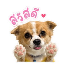 latte88_20260501170159