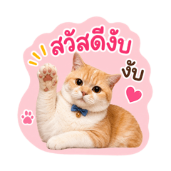 Jiew Orange Cat Studio