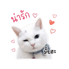 mametung2