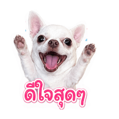 Bammie_1711