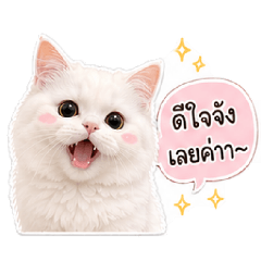 HANA_so cute