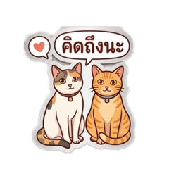 Catloveaon