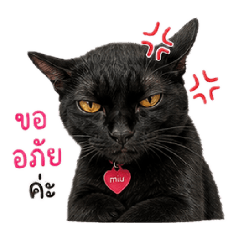 pannygaga_20260501171907