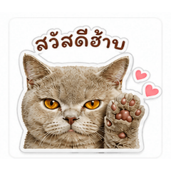Cute FuFu_20260501171826