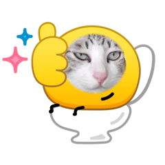 Namchokmeowmeow