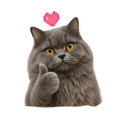 Sammymeawww