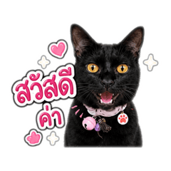 SHOWYU_20260501172622