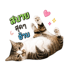 treenut_20260501173033