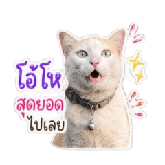 JirathaSiripongsin_20260501172801