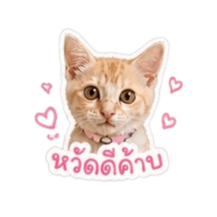 Jennarong.m_20260501172800