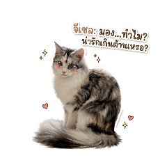 Giselle The Cat_20260501173508