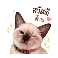 CATMaliMali