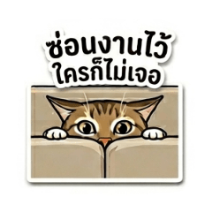 Sabaii - works