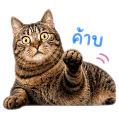 Namnan_20260501174044