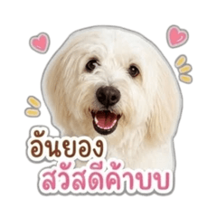 Oengoei_20260501174122